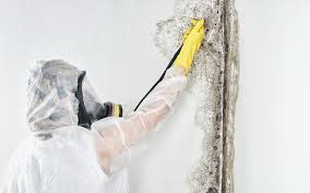 Best Residential Mold Inspection & Testing  in Poughkeepsie, NY